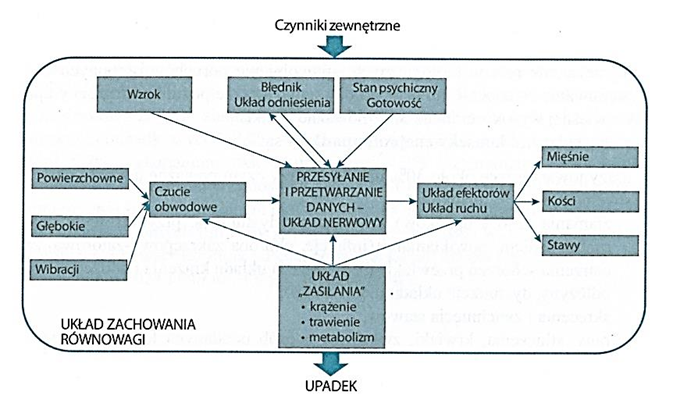 Czynniki ryzyka upadków